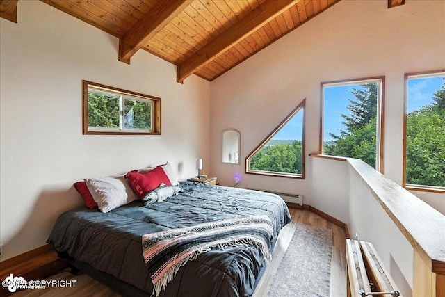 4510 Thomas Ct, Homer, AK 99603 - bedroom featuring wood finished floors and wooden ceiling