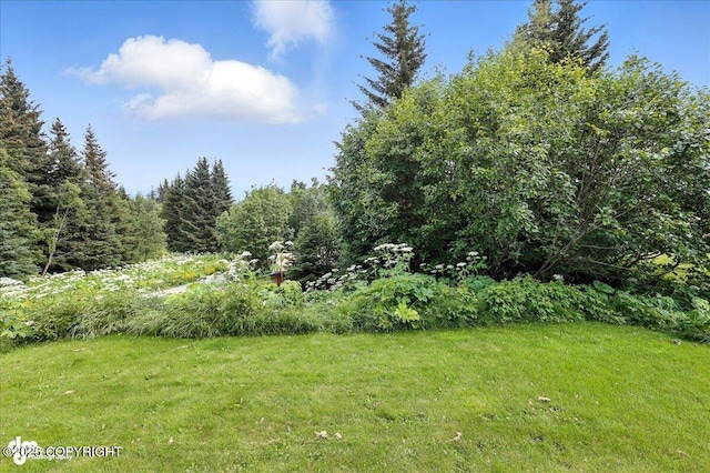 4510 Thomas Ct, Homer, AK 99603 - view of green lawn