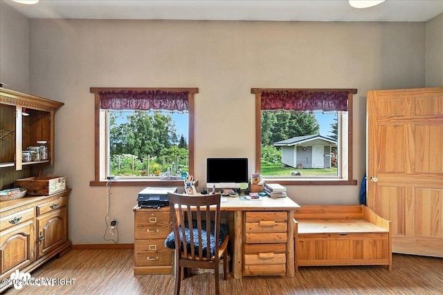 4510 Thomas Ct, Homer, AK 99603 - home office featuring light wood-type flooring and baseboards