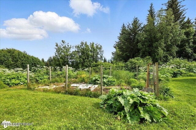 4510 Thomas Ct, Homer, AK 99603 - view of yard with a garden