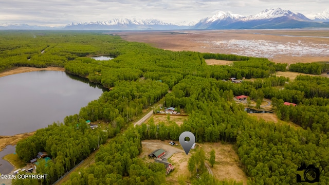 4800 W Lucy Lake Rd, Wasilla, AK 99623 - aerial view of a water and mountain view