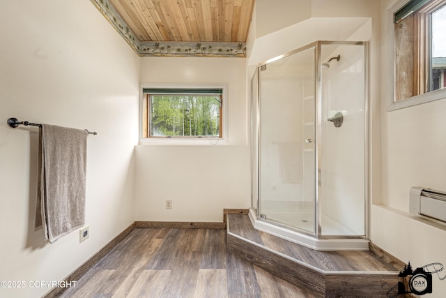 4800 W Lucy Lake Rd, Wasilla, AK 99623 - full bath featuring wood ceiling, a stall shower, wood finished floors, a baseboard radiator, and baseboards