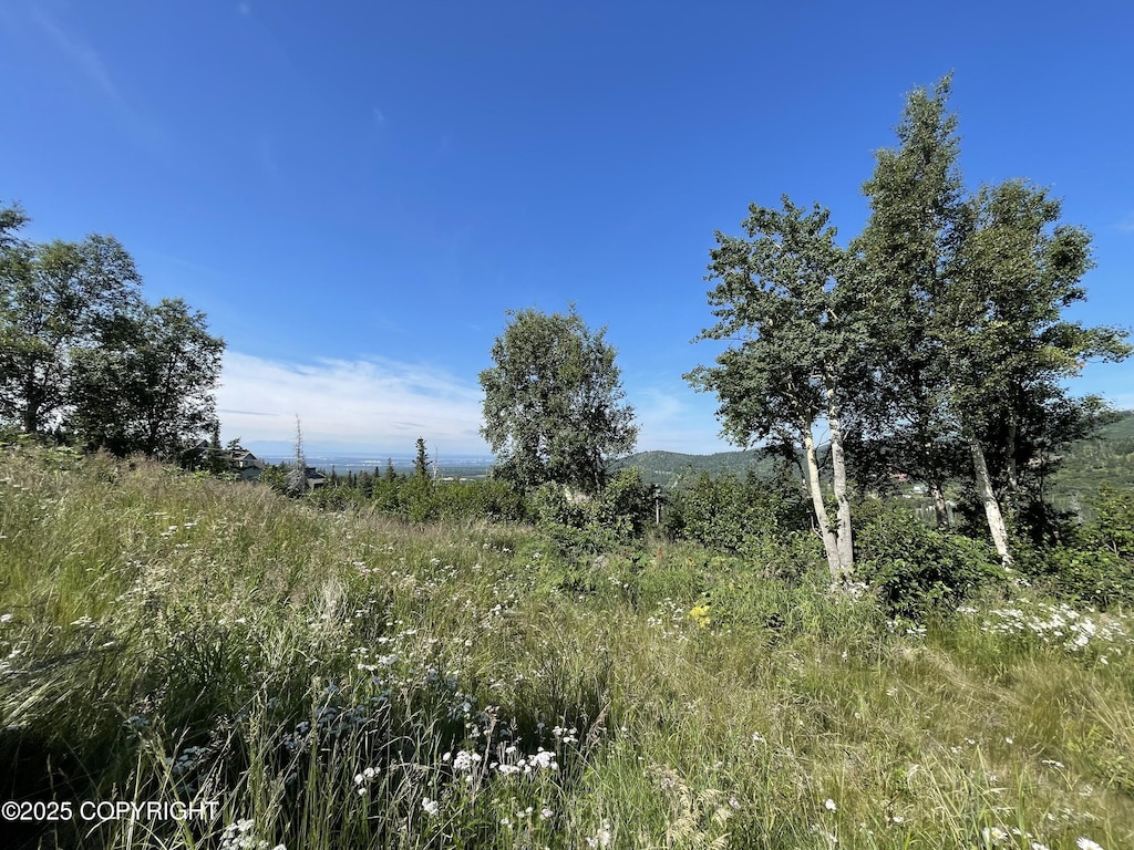 L16AB10H Harwood Cir, Anchorage, AK 99516