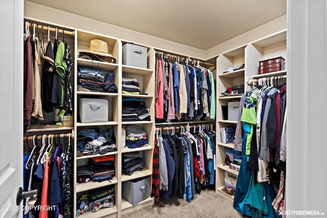 4187 Chiniak Bay Dr, Anchorage, AK 99515 - walk in closet featuring carpet flooring