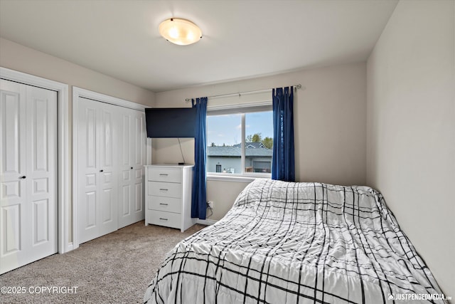 4187 Chiniak Bay Dr, Anchorage, AK 99515 - bedroom featuring two closets and carpet floors