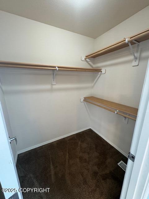 spacious closet featuring dark colored carpet
