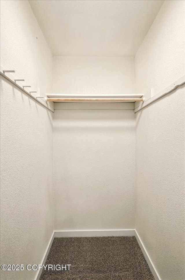 2411 N Friar Tuck Ct, Big Lake, AK 99623 - spacious closet featuring carpet floors