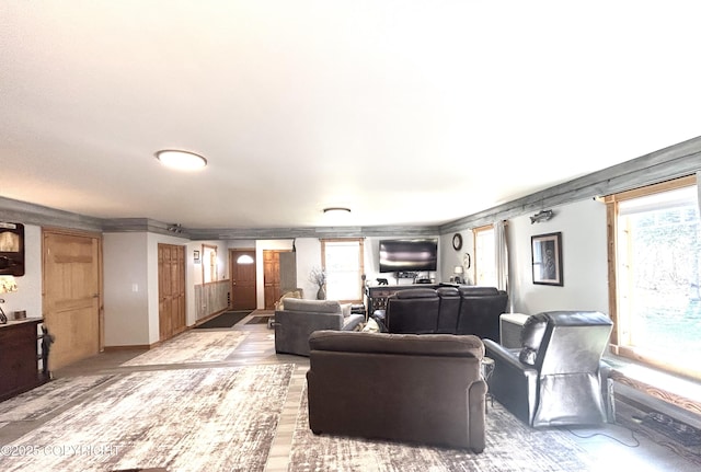 living area featuring wood finished floors