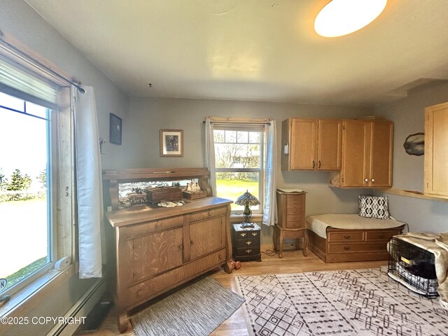 kitchen featuring light wood-type flooring and light countertops
