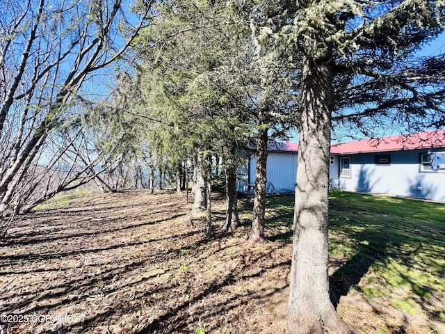 view of green lawn