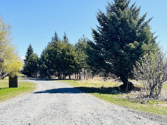 view of dirt / gravel road