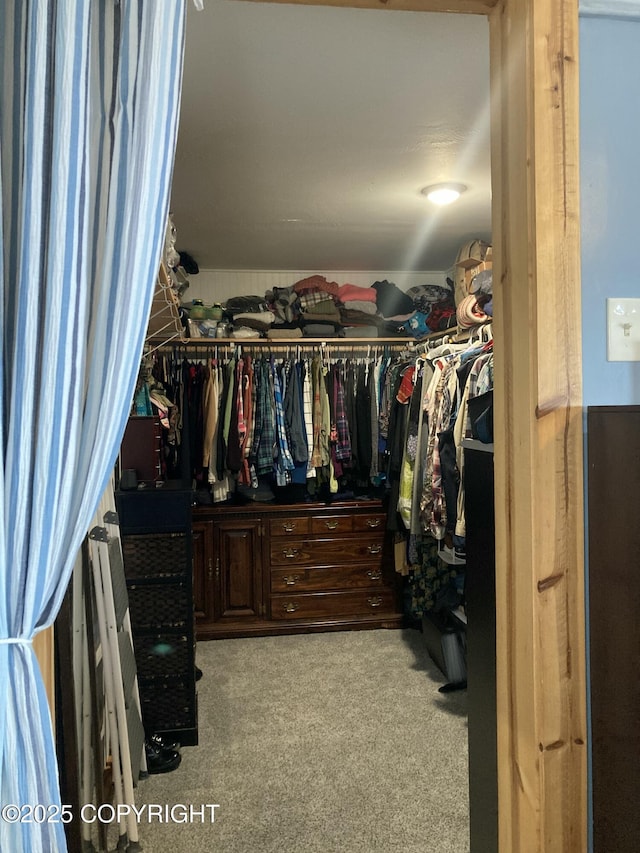 walk in closet with carpet