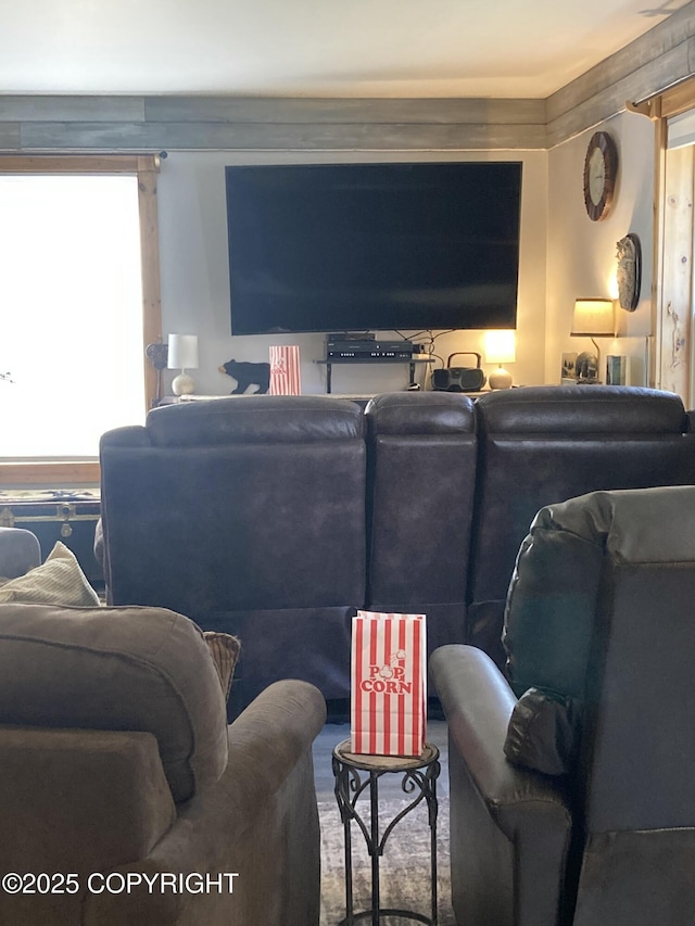 view of cinema room