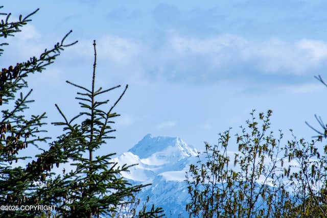 255 Lee Dr, Homer, AK 99603 - view of mountain backdrop