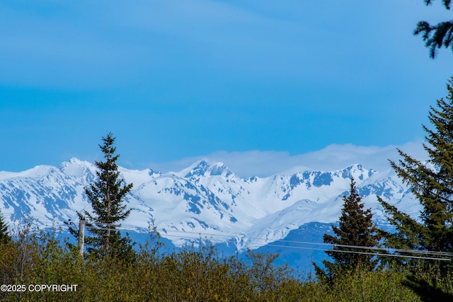 255 Lee Dr, Homer, AK 99603 - view of mountain backdrop