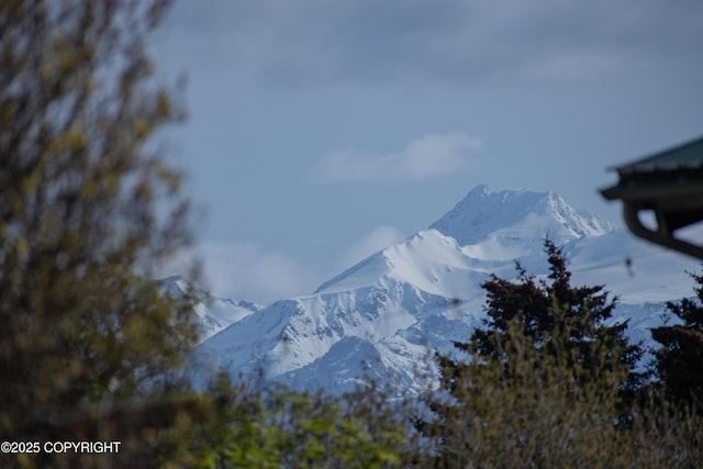 255 Lee Dr, Homer, AK 99603 - view of mountain background