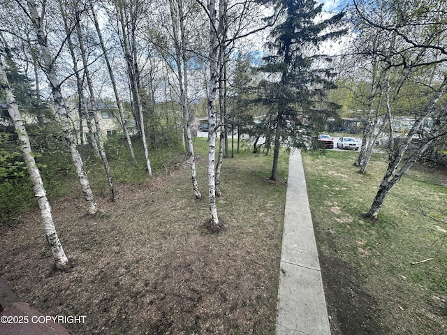 view of green lawn