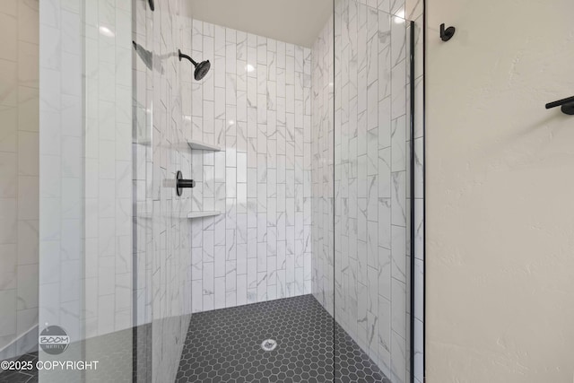 7254 E Riparian Loop, Palmer, AK 99645 - bathroom featuring tiled shower