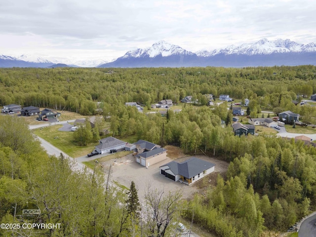 7254 E Riparian Loop, Palmer, AK 99645 - drone / aerial view of a heavily wooded area and a mountain backdrop