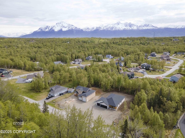 7254 E Riparian Loop, Palmer, AK 99645 - bird's eye view of a heavily wooded area and a mountain backdrop