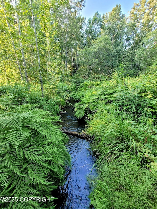 7027 Hayfield Rd, Wasilla, AK 99623 - photo 87