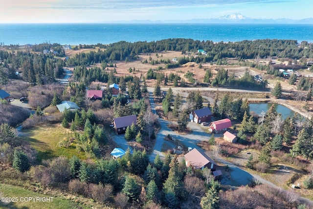 aerial view of property and surrounding area featuring a large body of water