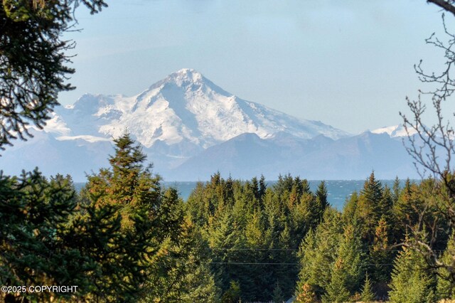 view of mountain backdrop with a forest