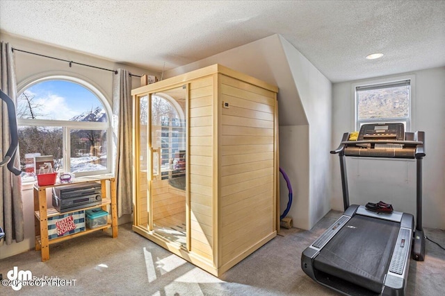 exercise room with a textured ceiling and carpet flooring