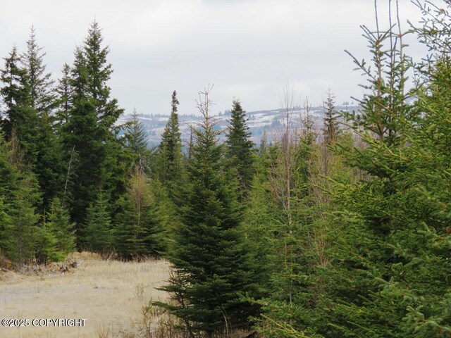 31580 Hannah Rene Rd, Anchor Point, AK 99556 - view of tree filled area