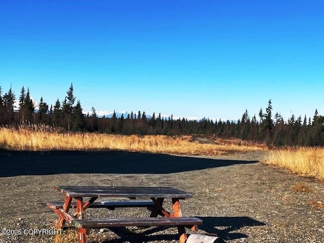 31580 Hannah Rene Rd, Anchor Point, AK 99556 - view of yard with a view of trees