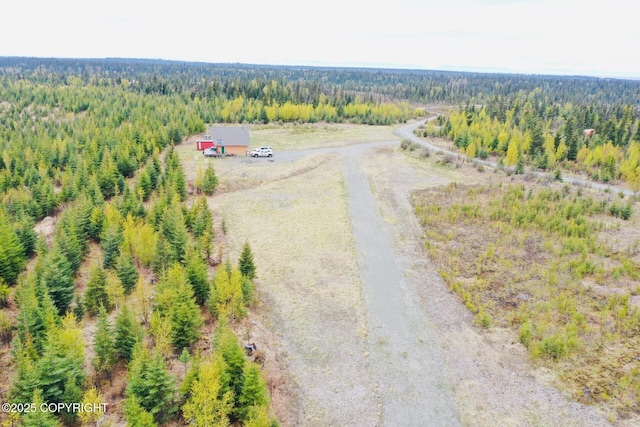 31580 Hannah Rene Rd, Anchor Point, AK 99556 - drone / aerial view of a heavily wooded area
