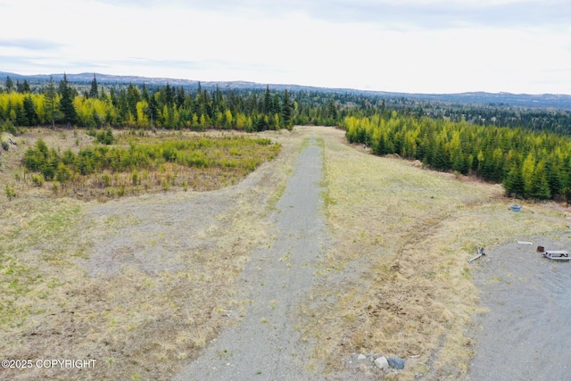 31580 Hannah Rene Rd, Anchor Point, AK 99556 - drone / aerial view of a forest