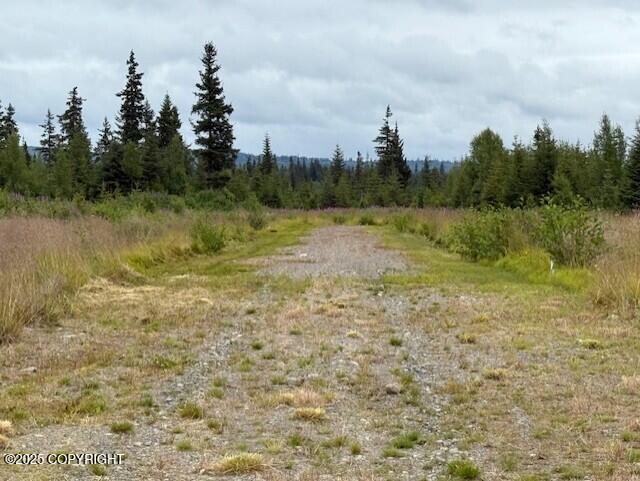31580 Hannah Rene Rd, Anchor Point, AK 99556 - photo 15
