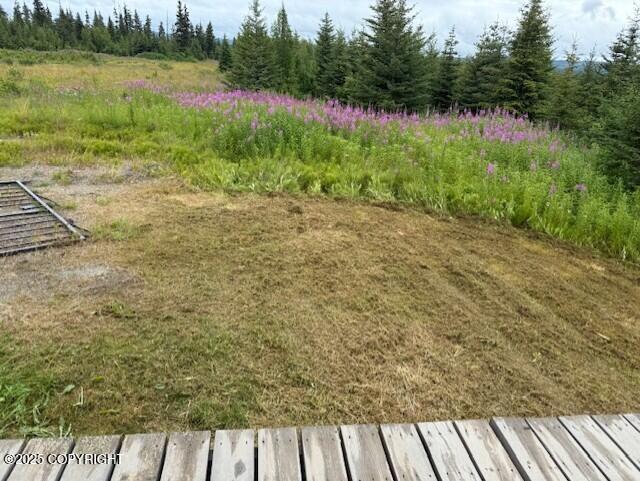 31580 Hannah Rene Rd, Anchor Point, AK 99556 - photo 16