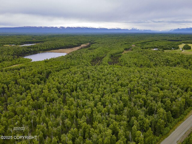 9875 W Carmel Rd, Wasilla, AK 99623 - photo 4