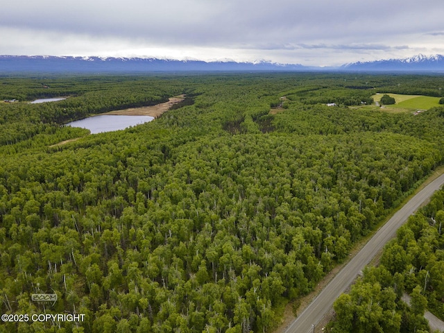 9875 W Carmel Rd, Wasilla, AK 99623 - photo 5