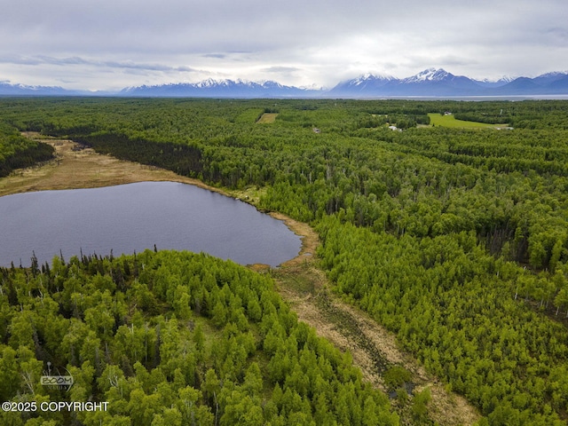 9875 W Carmel Rd, Wasilla, AK 99623 - photo 6