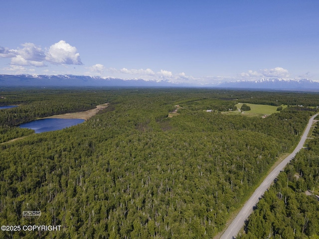 9875 W Carmel Rd, Wasilla, AK 99623 - photo 9