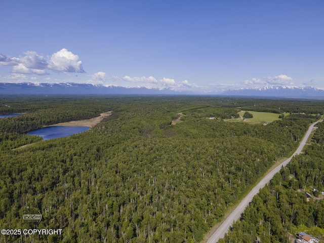 9875 W Carmel Rd, Wasilla, AK 99623 - photo 10