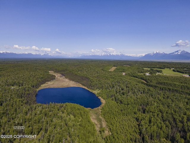 9875 W Carmel Rd, Wasilla, AK 99623 - photo 11