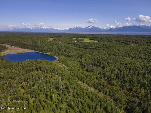 9875 W Carmel Rd, Wasilla, AK 99623 - photo 12