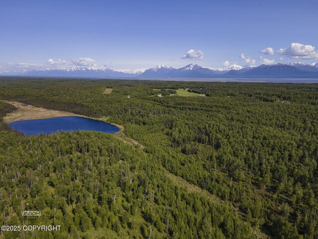 9875 W Carmel Rd, Wasilla, AK 99623 - photo 13