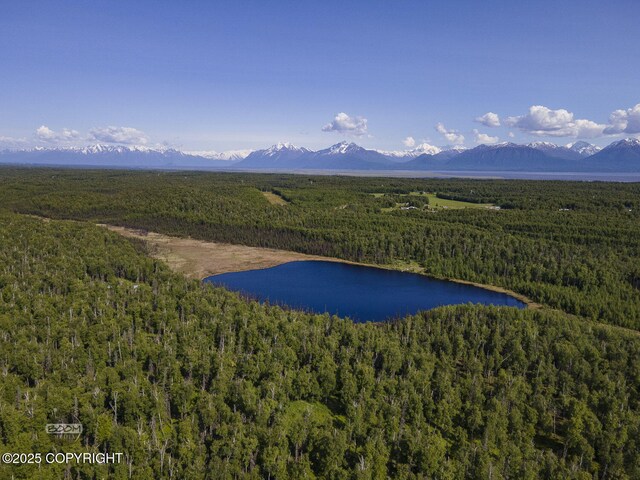 9875 W Carmel Rd, Wasilla, AK 99623 - photo 14