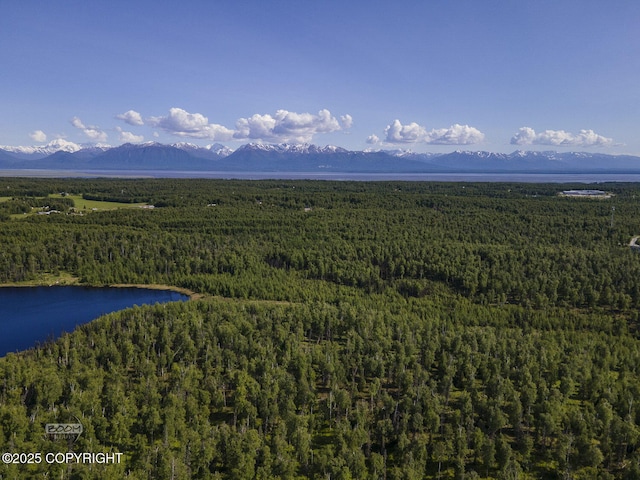 9875 W Carmel Rd, Wasilla, AK 99623 - photo 15