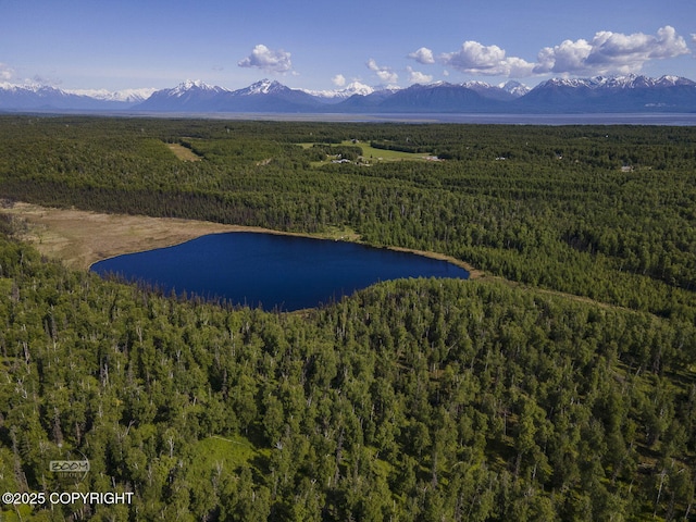 9875 W Carmel Rd, Wasilla, AK 99623 - photo 16