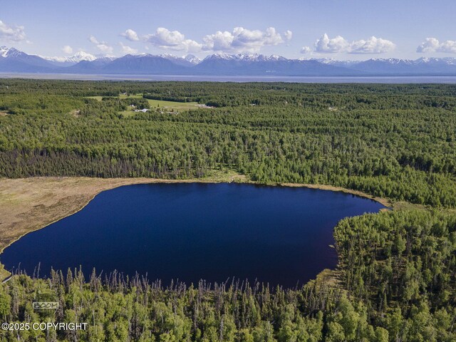 9875 W Carmel Rd, Wasilla, AK 99623 - photo 17