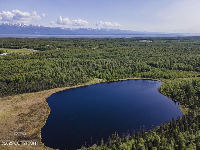9875 W Carmel Rd, Wasilla, AK 99623 - photo 18