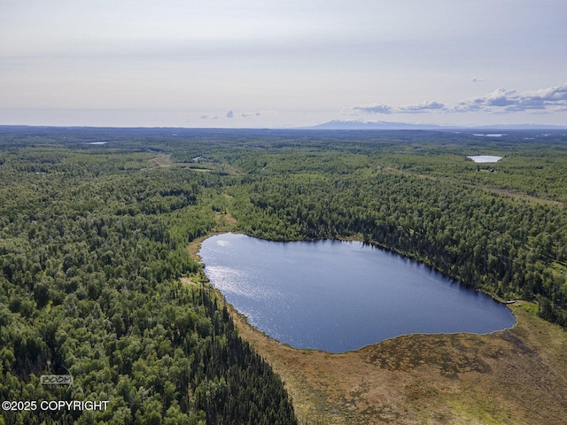 9875 W Carmel Rd, Wasilla, AK 99623 - photo 19