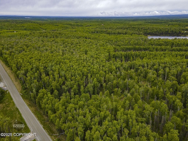 9875 W Carmel Rd, Wasilla, AK 99623 - photo 20