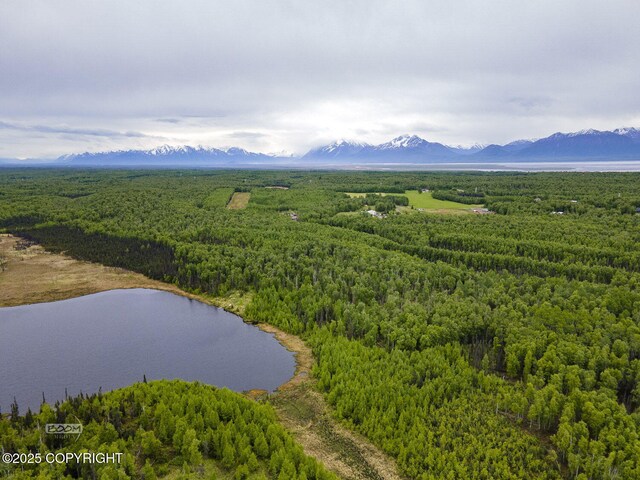 9875 W Carmel Rd, Wasilla, AK 99623 - photo 23